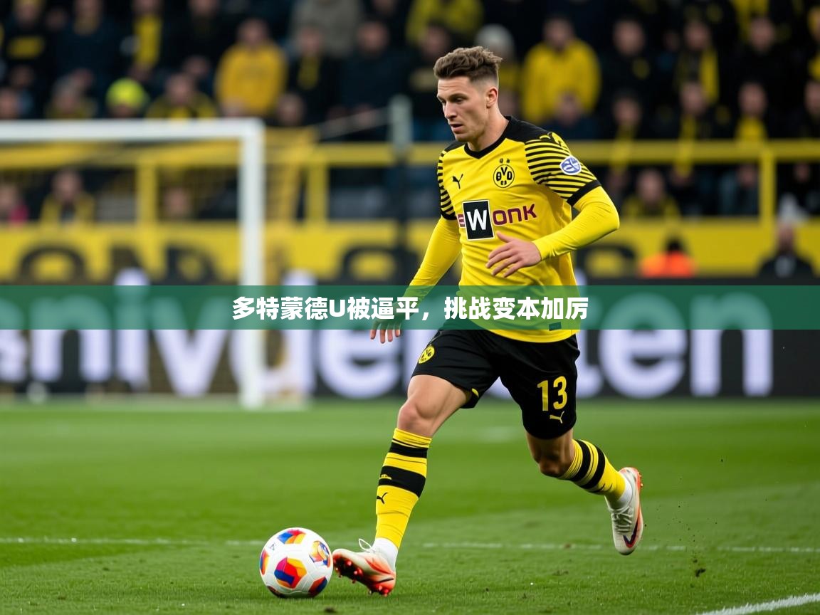 2025米兰体育官方客户端下载多特蒙德U被逼平，挑战变本加厉  第4张