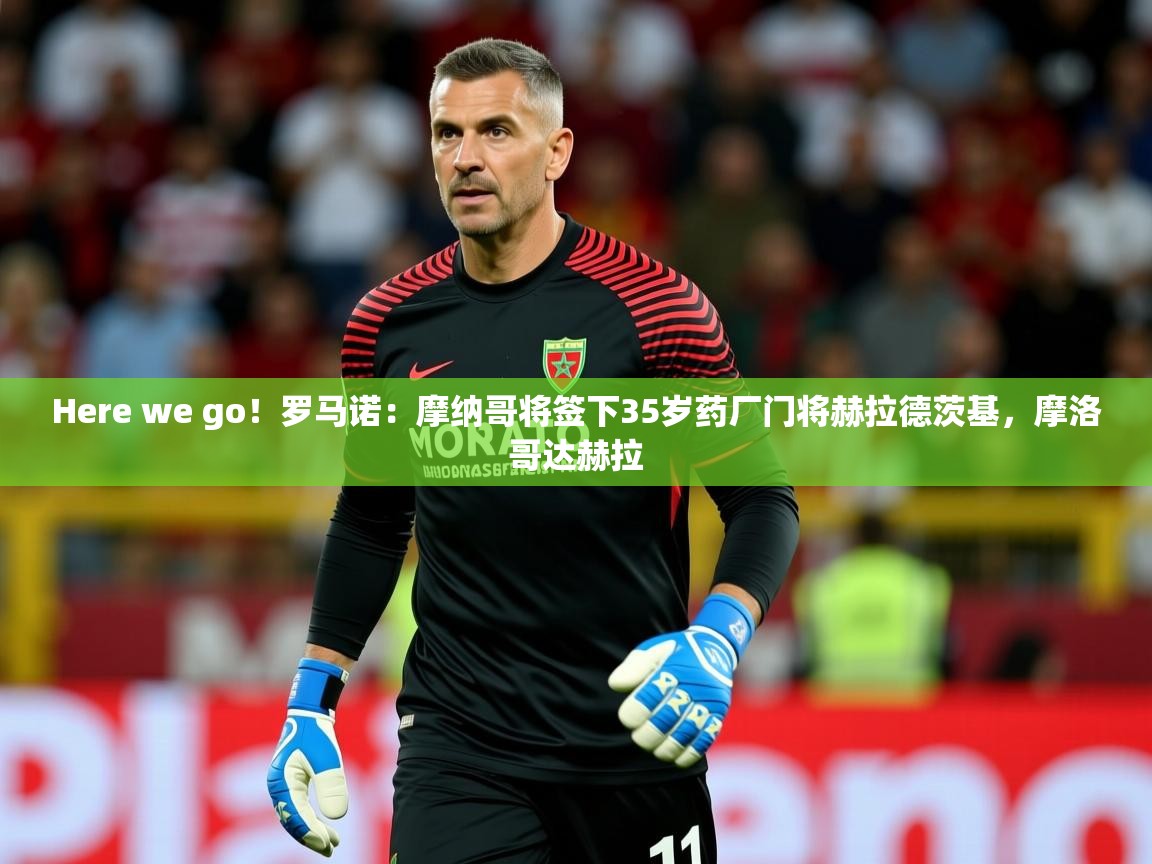 2025米兰体育平台怎么样Here we go！罗马诺：摩纳哥将签下35岁药厂门将赫拉德茨基，摩洛哥达赫拉  第1张