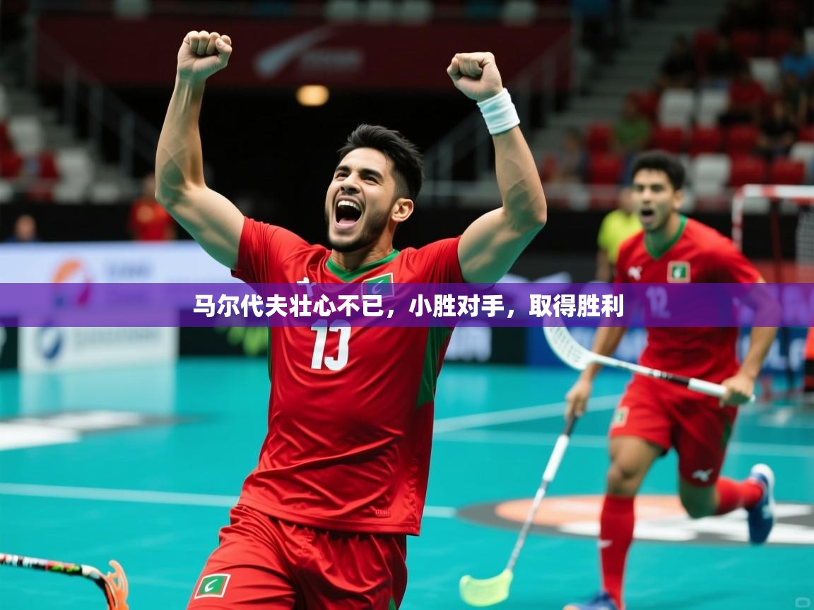 2026米兰体育app官网入口马尔代夫壮心不已,小胜对手,取得胜利 第4张